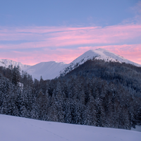 ALEXANDER LYNGGAARD Davos 6mm Bracelets